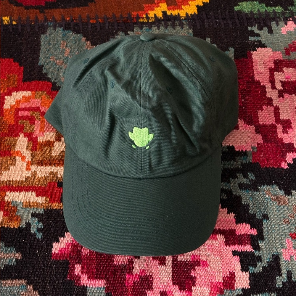 NWOT Green Duolingo Baseball Cap